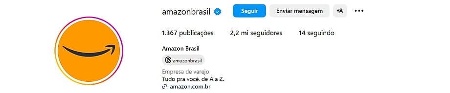 Biografia da Amazon Brasil no Instagram