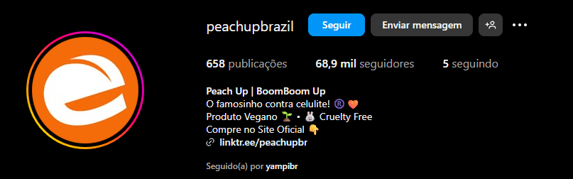 Biografia da Peach Up no Instagram